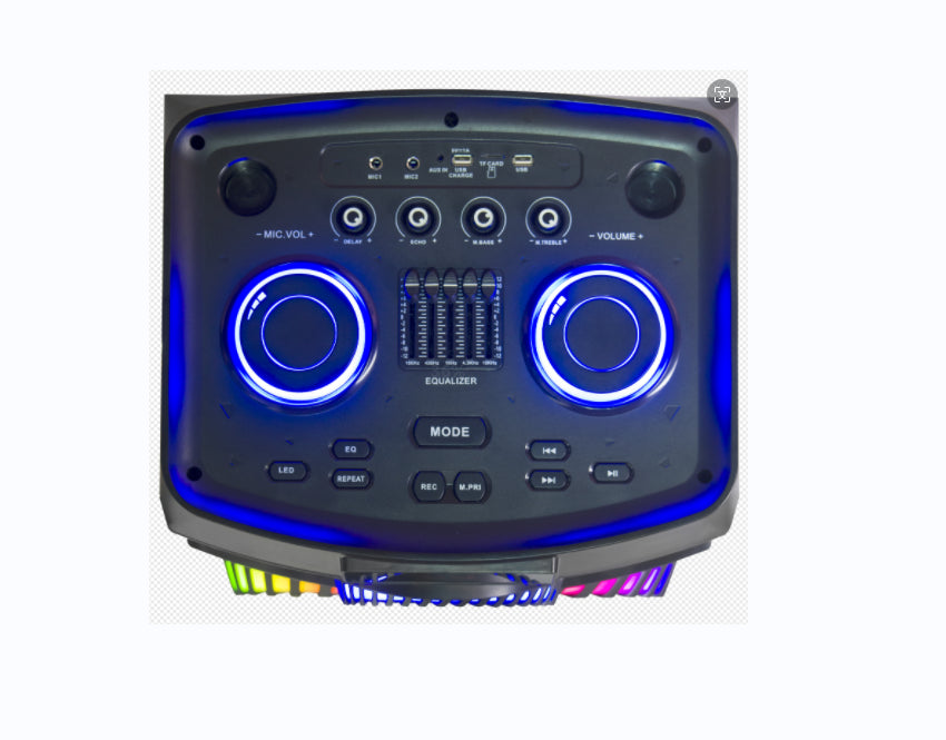 UF-A1213K مكبر صوت بلوتوث محمول مقاس 2 × 12 بوصة - مع ميكروفون وإضاءة RGB