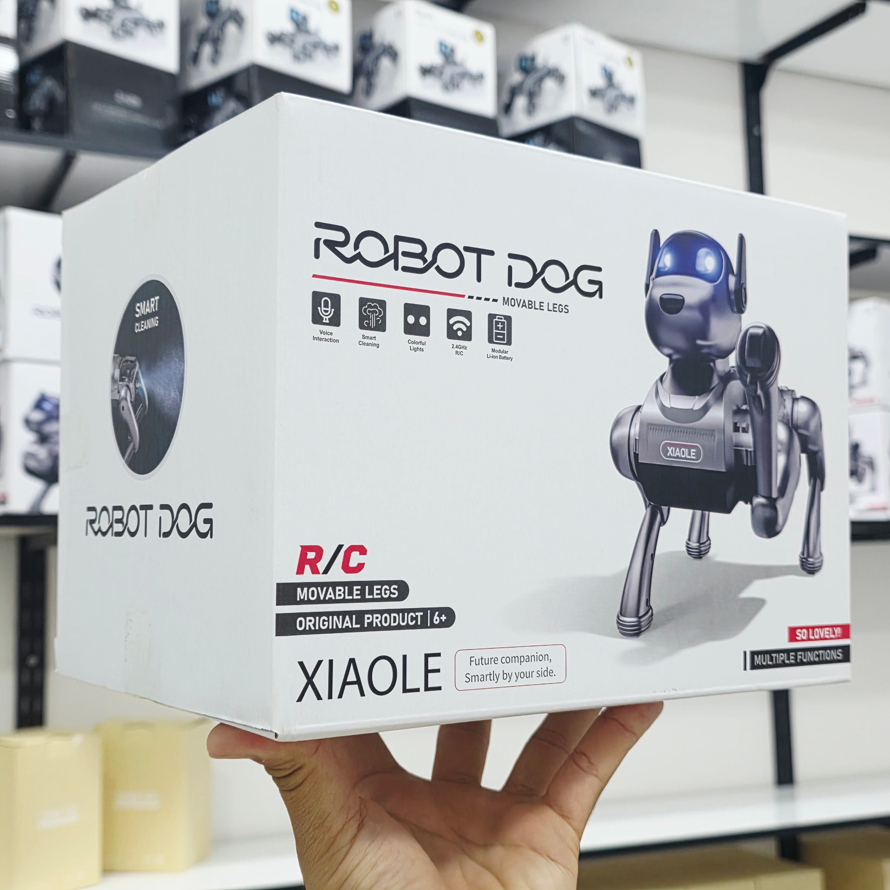 Akıllı Uzaktan Kumandalı Robot Köpek - Sesli, Işıklı ve Hareketli Eğitici Akıllı Robot Köpek Oyuncak (6+ Yaş) sampon