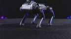 Akıllı Uzaktan Kumandalı Robot Köpek - Sesli, Işıklı ve Hareketli Eğitici Akıllı Robot Köpek Oyuncak (6+ Yaş)