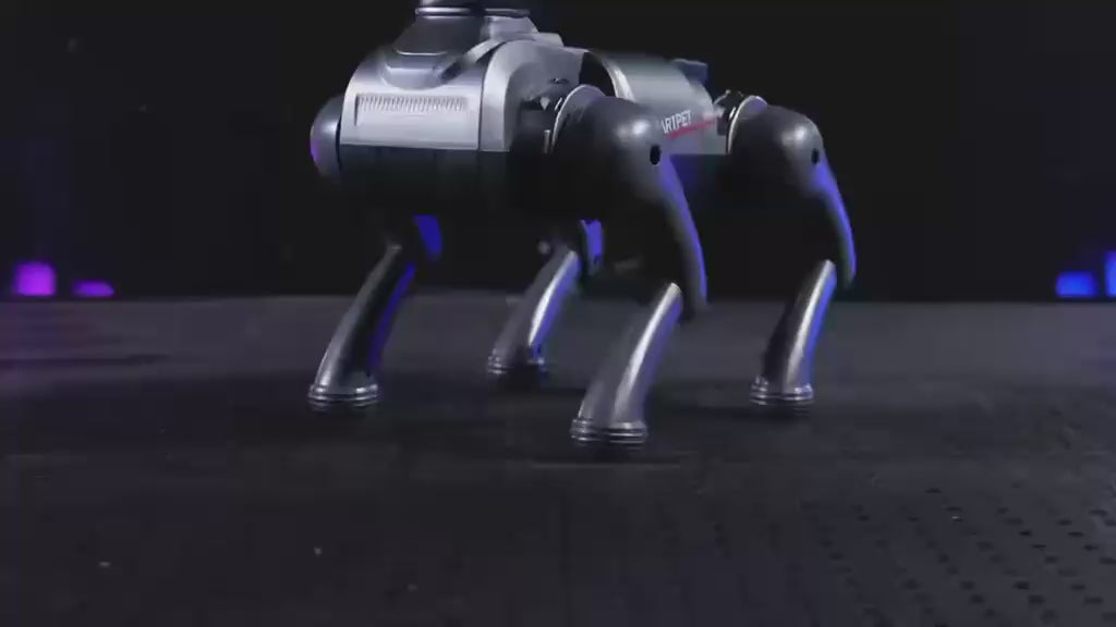 Akıllı Uzaktan Kumandalı Robot Köpek - Sesli, Işıklı ve Hareketli Eğitici Akıllı Robot Köpek Oyuncak (6+ Yaş)